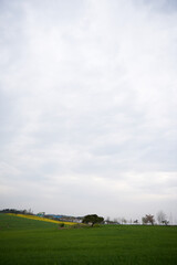 landscape with a sky