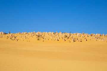The Pinnacles, Nambung National Park. Limestone formations with blue sky and yellow earth