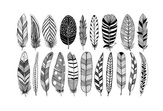 Rustic decorative feathers vector collection. Hand drawn black tribal bird feathers. Ink illustration isolated on white background. Ethnic boho style hand drawing. Outlined graphic ornament.