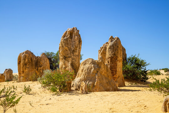The Pinnacles, Nambung National Park. Limestone formations with blue sky and yellow earth