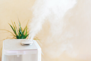 Humidifier is in working order, next to the house plant. Humidification, ionization and air...