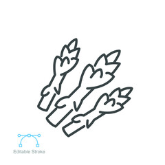 Asparagus icon. Nature vegetable food. sparrow grass Vegan. Dietary edible plant. asparagus sprout bundle vegetarian editable stroke outline style vector illustration design on white background EPS 10