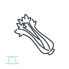 Fototapeta premium Celery icon bunch with stalks, leaves. fresh organic natural vegetable. Herbaceous vegan vegetarian detox food. outline style Editable Stroke vector illustration design on white background EPS 10