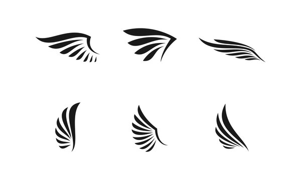 Wings set illustration vector icon