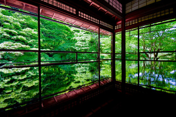 Fototapeta na wymiar 京都　瑠璃光院の新緑