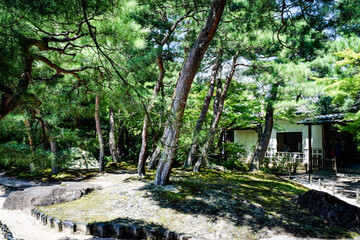 足立美術館、その周辺を散策する。