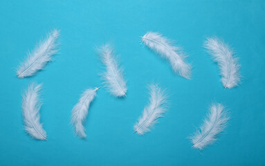 Soft feathers on blue background. Minimalism. Top view. Flat lay