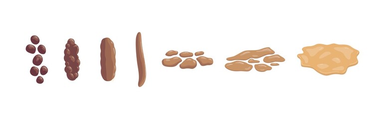 A set of various types human feces - constipation, normal and diarrhea