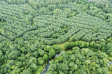 aerial panoramic view of summer landscape with beautiful green forest and small river