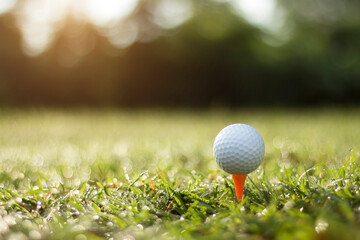 golf ball on tee in a beautiful golf course with morning sunshine