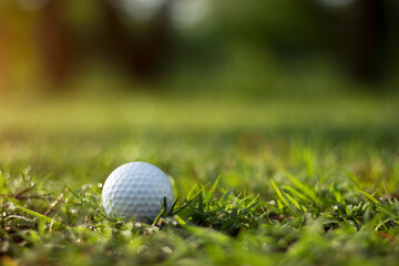 golf ball is on a green lawn in a beautiful golf course