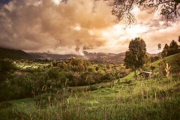Colombian sunset warm landscape © juanfelipe