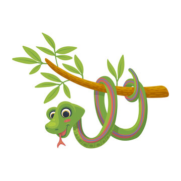 Green snake hanging on a tree branch, flat vector illustration on white.
