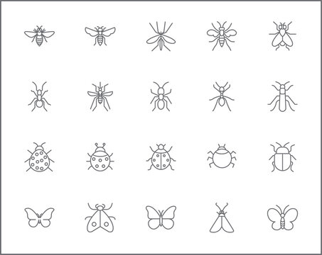 Set of insect and bug line style. It contains such Icons as mosquito, mantis, moth, ant, bug stick, ladybug, mite, natural and other elements. customize color, easy resize.