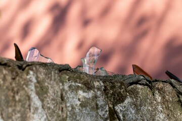 Protection of the territory from thieves - fragments of broken glass on the upper surface of the concrete fence