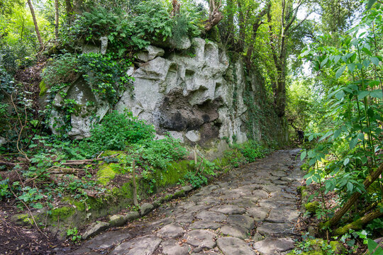 Parco di Veio, regional park in the province of Rome. Ancient Roman road, stone paving, and etruscan tombs