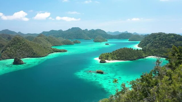 2020 - Excellent aerial shot of trees on the highest peaks of the Wayag Islands, Raja Ampat, Indonesia.