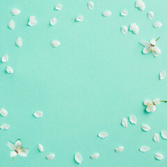 Spring turquoise background with cherry blossom twigs. Blue desktop. top view, frame. Copy space