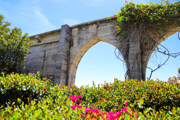 a gorgeous shot of 3 stone arches covered with lush green plants and red flowers with beautiful views of the deep blue ocean and blue sky at Dana Point Bluff Top Trail in Dana Point CA - obrazy, fototapety, plakaty