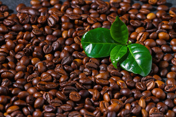 Roasted brown coffee beans. Top view. Coffee background texture.