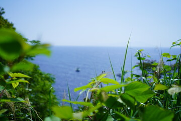 Obraz na płótnie Canvas 静岡の海