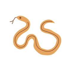 Snake isolated on white. Snakes elongated, legless, carnivorous reptiles. Wild West theme. Hand drawn colored trendy Vector isolated illustration.  Wildlife concept. 