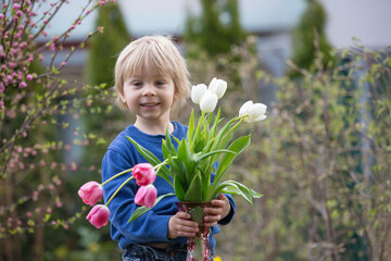 Little toddler blond boy, child, holding vase with tulips for mom, gift for Mother's day