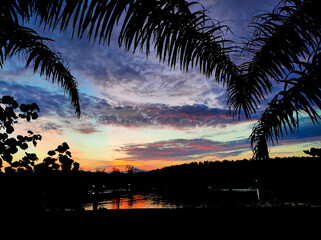 Colorful sunrise with clouds in the morning with framing dark tree nature.