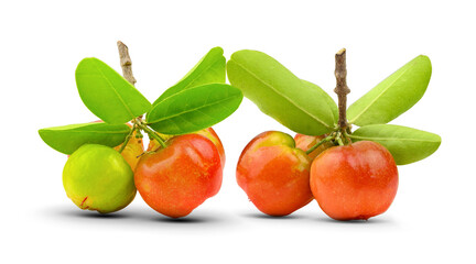 fresh cherry on white background