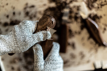 Woman working in carving spoon at home, close up in hands