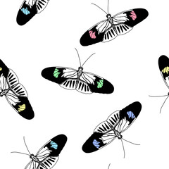 Butterfly and spring flowers Collection of vector patterns. Seamless pattern