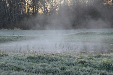 Ground mist drifts from a pond in the early morning light