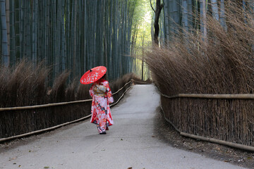A Kimono in the Bamboo