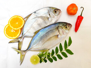 Fresh Malabar Trevally fish decorated with herbs and fruits ,Isolated on white Background.Selective focus.Space for text.