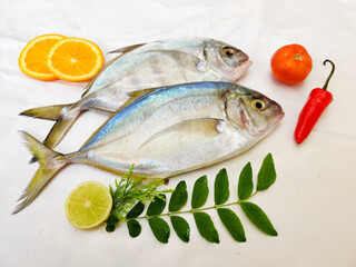 Fresh Malabar Trevally fish decorated with herbs and fruits ,Isolated on white Background.Selective focus.Space for text.