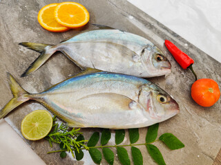 Fresh Malabar Trevally fish decorated with herbs and fruits on a wooden pad ,Isolated on white Background.Selective focus.Space for text.