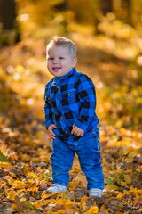 boy on a background of yellowed leaves