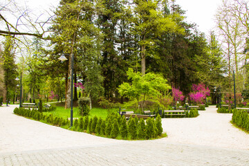 Garden and park, Zugdidi Botanic garden in Georgia.