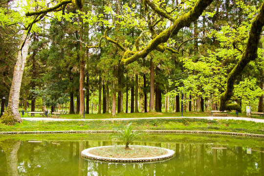 Pond in the park, Zugdidi Botanic garden in Georgia.
