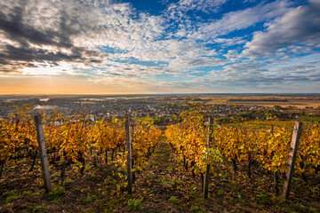 Tokaj, Hungary - The world famous Hungarian vineyards of Tokaj wine region, taken on a warm, golden glowing autumn morning. Town of Tokaj and beutiful sunrise with blue sky and clouds at background