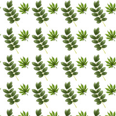A pattern of branches and leaves on a white background