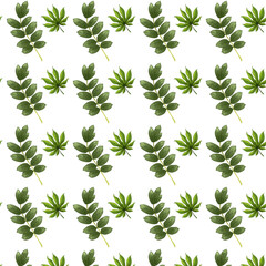A pattern of branches and leaves on a white background