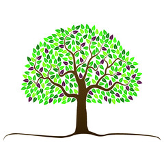 Fototapeta premium tree with leaves