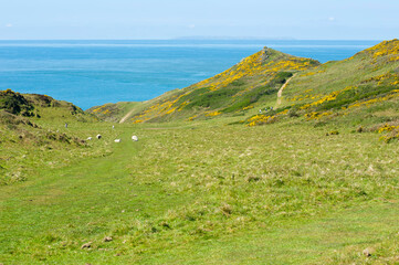 Fototapeta na wymiar View from Morte Point, North Devon, England