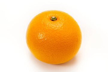 フルーツのハッサク