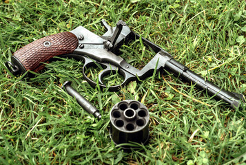 A disassembled revolver in the green grass on the ground, a weapon left at the crime scene.