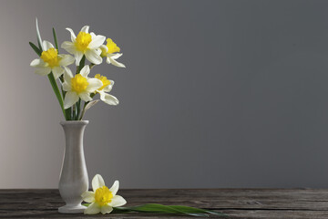 yellow narcissus  in vase on wooden table on dark background