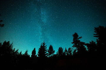 The Milky Way and many stars in the blue night sky above the forest.