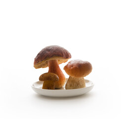 Wild forest porcini mushrooms in a plate isolated on a white background