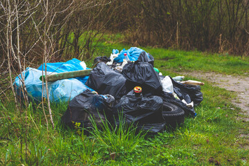 Śmieci wyrzucone w lesie Zanieczyszczanie środowiska - obrazy, fototapety, plakaty